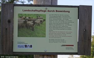 2012-09-16-dalemerfeld-schafeschild-a-klein