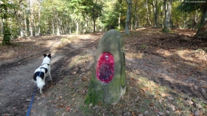 2014-10-27-dahlemer-feld-dsc07350-klein