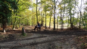 2014-10-27-dahlemer-feld-dsc07351-klein