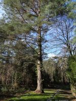 2016-02-10-selbstmoederfriedhof-dsc03837-klein