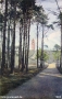 1905-grunewaldturm-havelchaussee
