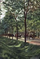 1912-ca-weg-nach-schildhorn-klein