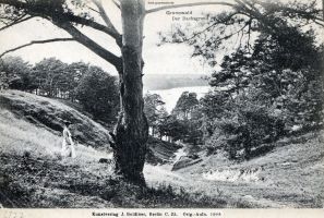 1908-dachsgrund-karlsbergeschlucht-klein