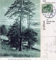 1909-lindwerder-lieper-bucht-klein