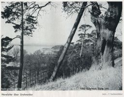 1950-schmook-nach-seite-144-lieper-bucht