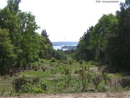 2009-05-17-37-klein