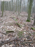 2007-02-24-cimg2885-klein