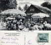 1955-07-11-waldhaus-grunewaldturm-klein