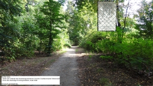 2014-09-09-033-klein