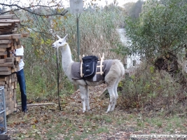 2012-11-04-torfgraben-075-klein 2012-11-04-torfgraben-075-klein