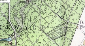 1910-straube-dachsheide