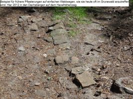 2012-05-27-90-dachsberge-klein