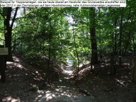 2012-05-27-92-dachsberge-klein