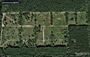2000-06-01-dahlemer-feld-googleearth-eiche