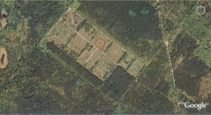 2007-dahlemer-feld-google-earth-eiche