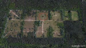 2009-google-earth-jagen-90-dahlemer-feld-eiche