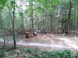 2015-08-03-eichenstumpf-postfenn-dsc01921-klein