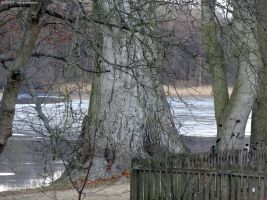 2012-12-30-grunewaldsee-jagdschloss-paulsborn-093-klein