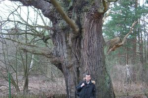 008 - Eichen Galerie 01: Große Steinlanke