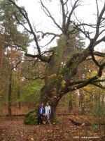 2005-dachsgrund-havelhoehenweg-1-klein 2005-dachsgrund-havelhoehenweg-1-klein