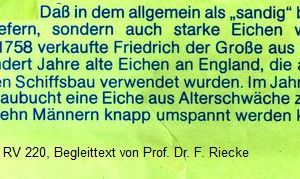 010 - Eichen Galerie 03: Pechsee