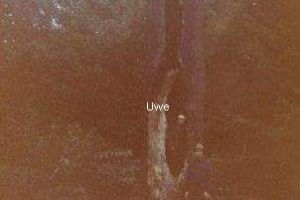 Eichen Galerie 06: Postfenn Blitzbaum