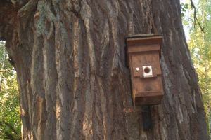 Eichen Galerie 09: Teufelssee - Ökowerk