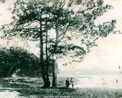 1900-schildhorn-kahnfaehre-a