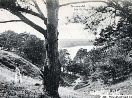 1908-dachsgrund-a