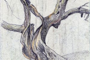Linden Galerie 03: Schildhorn