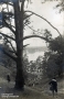 1925-chorfahrt-grunewald-dachsgrund-klein