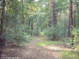 2005-dachsberg-16-august-klein