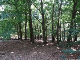 2012-05-27-07-klein