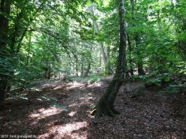 2012-05-27-17-klein