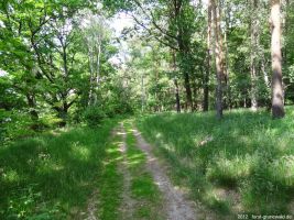 2012-05-27-103-klein