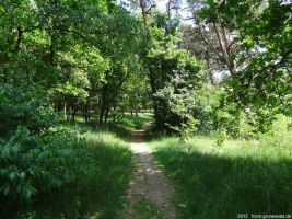 2012-05-27-89-klein