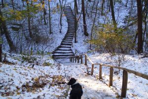 030 - Dachsberge Galerie 04: Dachsbergeschlucht
