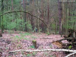 2006-laufwanderung-april-30-012-klein