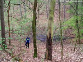 2006-laufwanderung-april-30-014-klein_0