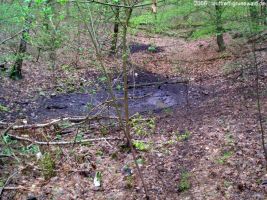 2006-laufwanderung-april-30-015-klein