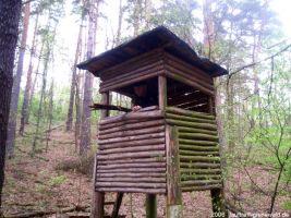 2006-laufwanderung-april-30-016-klein