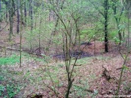 2006-laufwanderung-april-30-018-klein