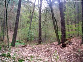 2006-laufwanderung-april-30-019-klein