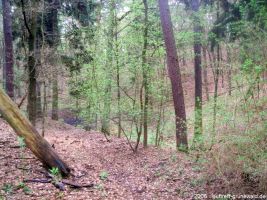 2006-laufwanderung-april-30-020-klein