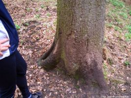 2006-laufwanderung-april-30-024-klein