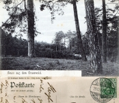 1905-gel-1907-12-29-grunewald-evtl-dachsberge-klein