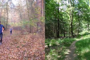 033 - Dachsberge Galerie 08: Dachsgrund 3. Abschnitt