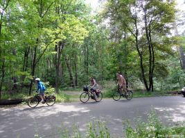 2012-05-27-50-klein