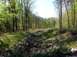 2019-04-23-dsc04821-klein