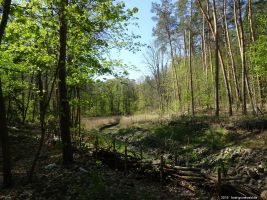 2019-04-23-dsc04822-klein